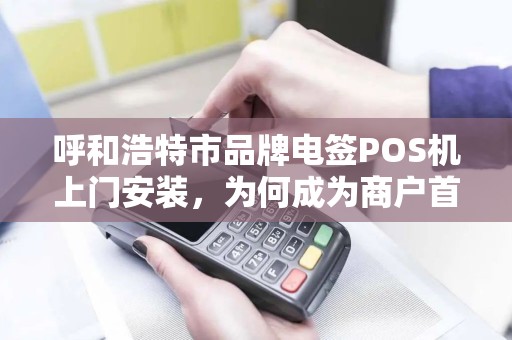 呼和浩特市品牌电签POS机上门安装，为何成为商户首选？背后竟有这些不为人知的优势！