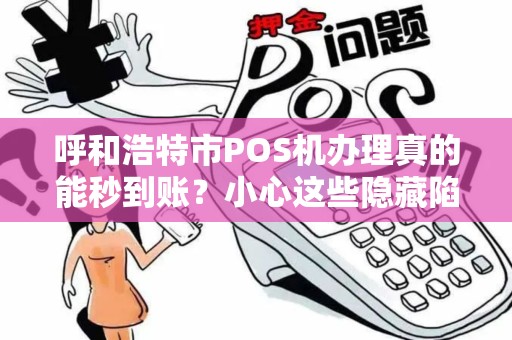 呼和浩特市POS机办理真的能秒到账？小心这些隐藏陷阱！