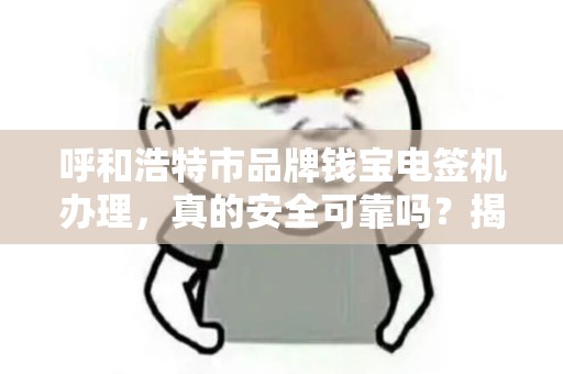 呼和浩特市品牌钱宝电签机办理，真的安全可靠吗？揭秘背后隐藏的3大风险！