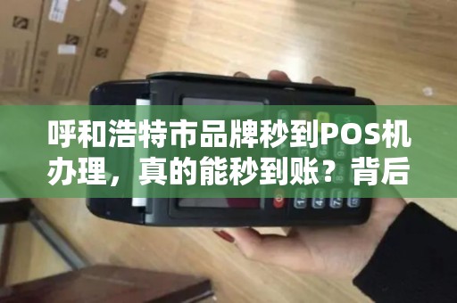 呼和浩特市品牌秒到POS机办理，真的能秒到账？背后隐藏的3大风险你了解吗？