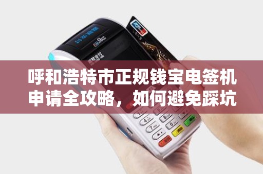 呼和浩特市正规钱宝电签机申请全攻略，如何避免踩坑？