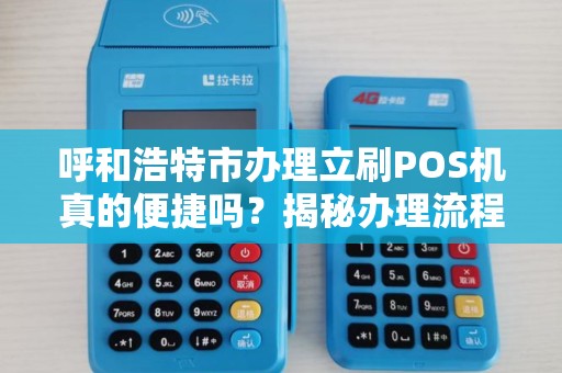 呼和浩特市办理立刷POS机真的便捷吗？揭秘办理流程与避坑指南！