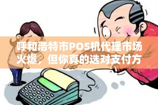 呼和浩特市POS机代理市场火爆，但你真的选对支付方式了吗？