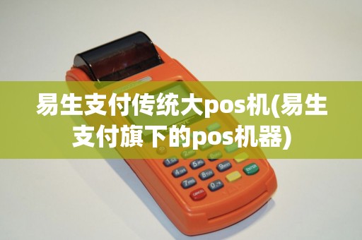 易生支付传统大pos机(易生支付旗下的pos机器)