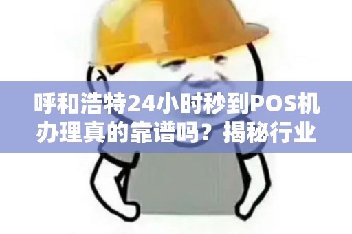 呼和浩特24小时秒到POS机办理真的靠谱吗？揭秘行业内幕与避坑指南！