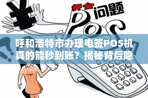 呼和浩特市办理电签POS机真的能秒到账？揭秘背后隐藏的3大风险！