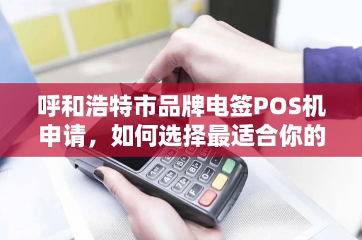 呼和浩特市品牌电签POS机申请，如何选择最适合你的支付工具？