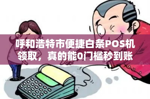 呼和浩特市便捷白条POS机领取，真的能0门槛秒到账？小心这些隐藏陷阱！