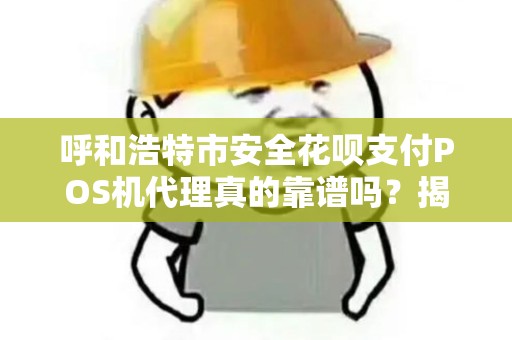 呼和浩特市安全花呗支付POS机代理真的靠谱吗？揭秘行业内幕与避坑指南！
