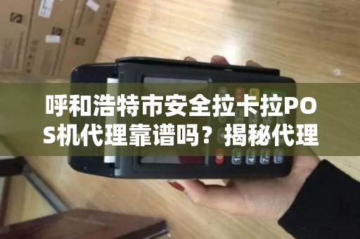 呼和浩特市安全拉卡拉POS机代理靠谱吗？揭秘代理背后的风险与机遇！