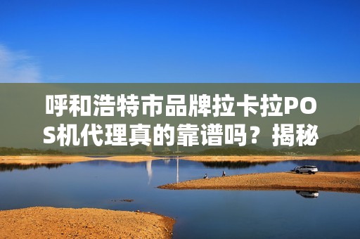 呼和浩特市品牌拉卡拉POS机代理真的靠谱吗？揭秘行业内幕与避坑指南！