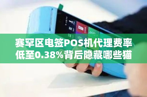赛罕区电签POS机代理费率低至0.38%背后隐藏哪些猫腻？