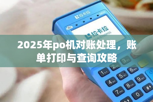 2025年po机对账处理，账单打印与查询攻略