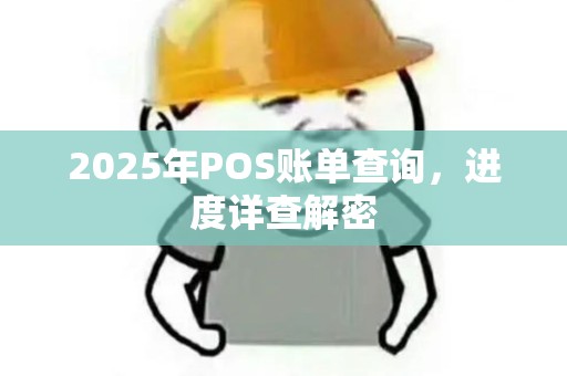 2025年POS账单查询，进度详查解密
