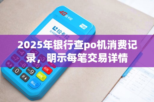 2025年银行查po机消费记录，明示每笔交易详情