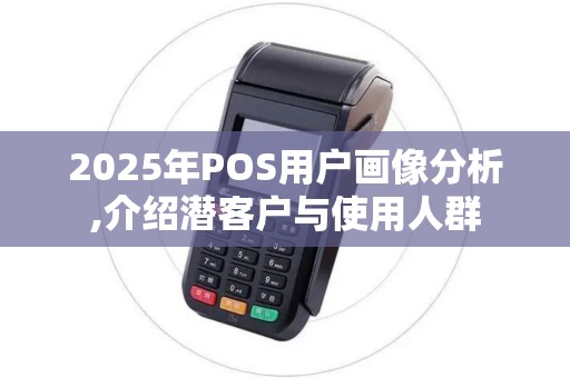 2025年POS用户画像分析,介绍潜客户与使用人群