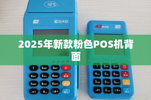2025年新款粉色POS机背面