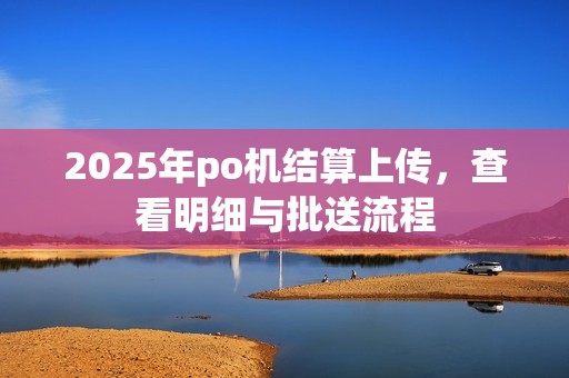 2025年po机结算上传，查看明细与批送流程