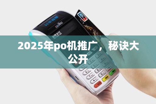 2025年po机推广，秘诀大公开