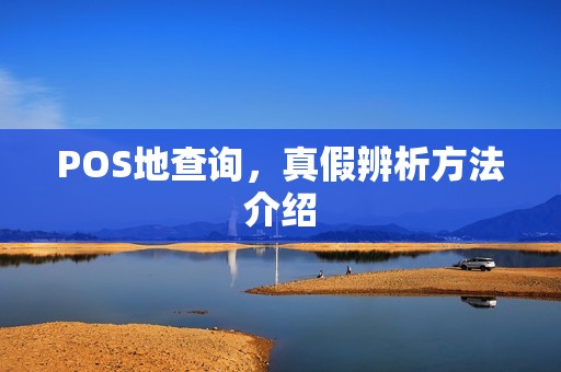 POS地查询，真假辨析方法介绍