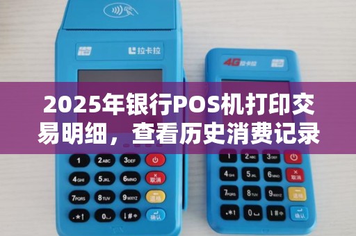 2025年银行POS机打印交易明细，查看历史消费记录汇总