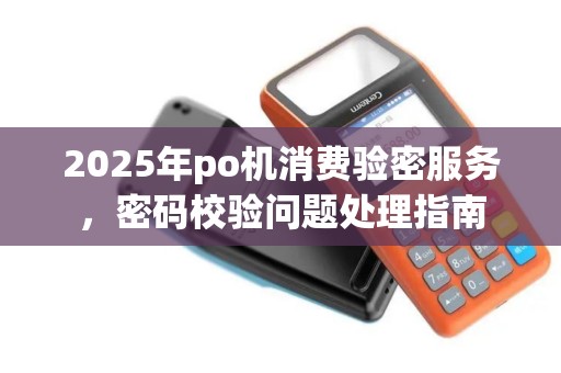 2025年po机消费验密服务，密码校验问题处理指南