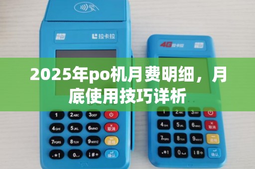 2025年po机月费明细，月底使用技巧详析