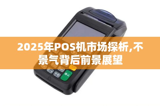 2025年POS机市场探析,不景气背后前景展望