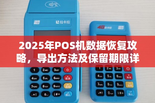 2025年POS机数据恢复攻略，导出方法及保留期限详解