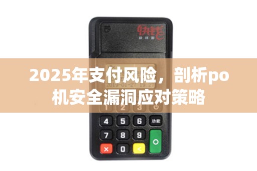 2025年支付风险，剖析po机安全漏洞应对策略