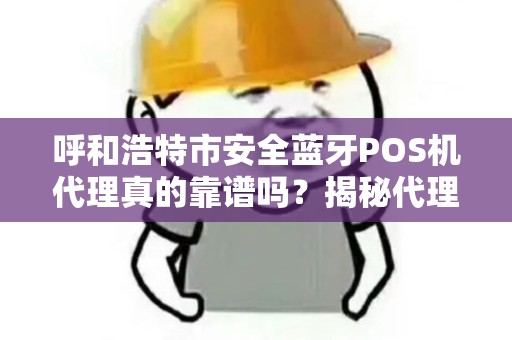 呼和浩特市安全蓝牙POS机代理真的靠谱吗？揭秘代理背后的风险与机遇！