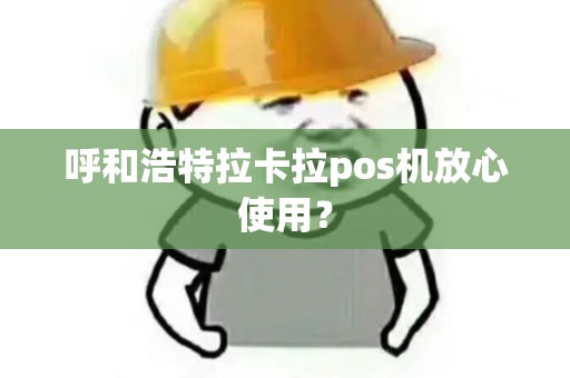呼和浩特拉卡拉pos机放心使用?