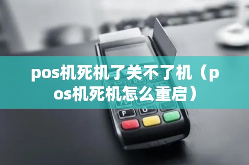 pos机死机了关不了机（pos机死机怎么重启）