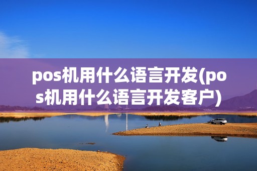 pos机用什么语言开发(pos机用什么语言开发客户)