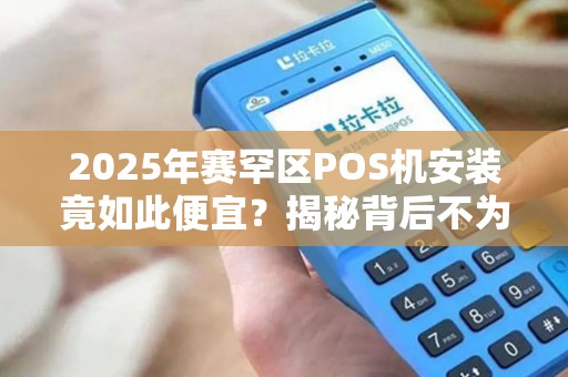 2025年赛罕区POS机安装竟如此便宜？揭秘背后不为人知的行业内幕！