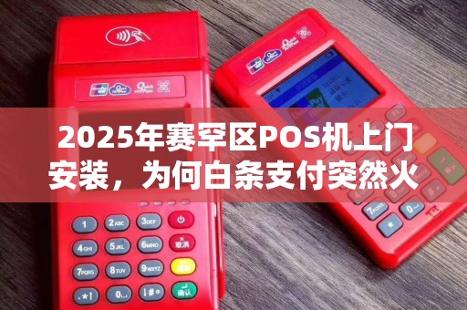 2025年赛罕区POS机上门安装，为何白条支付突然火了？背后原因让人意外！