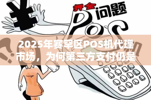 2025年赛罕区POS机代理市场，为何第三方支付仍是稳赚不赔的生意？