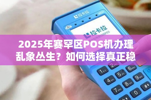 2025年赛罕区POS机办理乱象丛生？如何选择真正稳定的第三方支付服务？