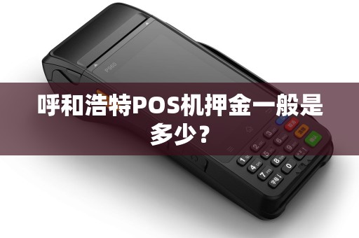 呼和浩特POS机押金一般是多少？