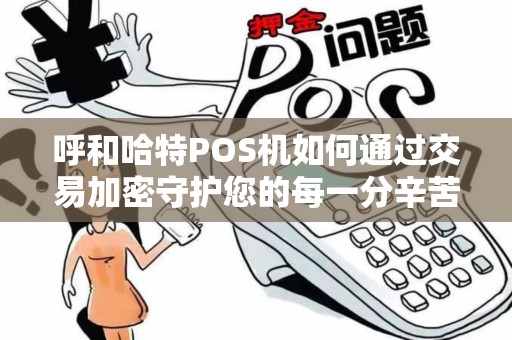 呼和哈特POS机如何通过交易加密守护您的每一分辛苦钱？