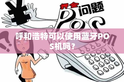 呼和浩特可以使用蓝牙POS机吗？