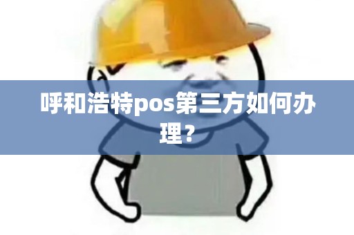 呼和浩特pos第三方如何办理？
