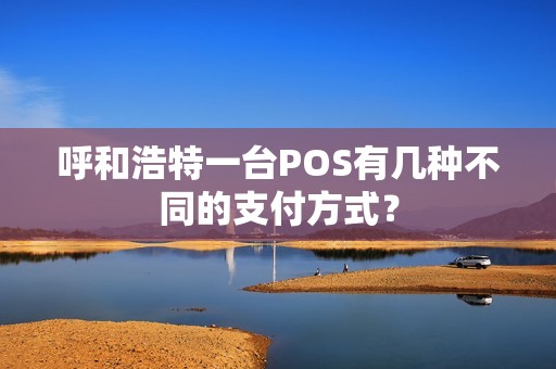 呼和浩特一台POS有几种不同的支付方式？