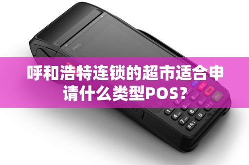呼和浩特连锁的超市适合申请什么类型POS？