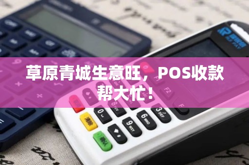 草原青城生意旺，POS收款帮大忙！