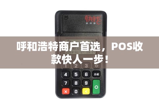 呼和浩特商户首选，POS收款快人一步！