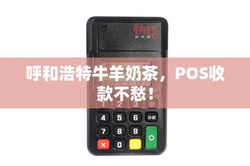 呼和浩特牛羊奶茶，POS收款不愁！