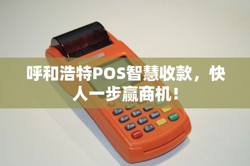 呼和浩特POS智慧收款，快人一步赢商机！
