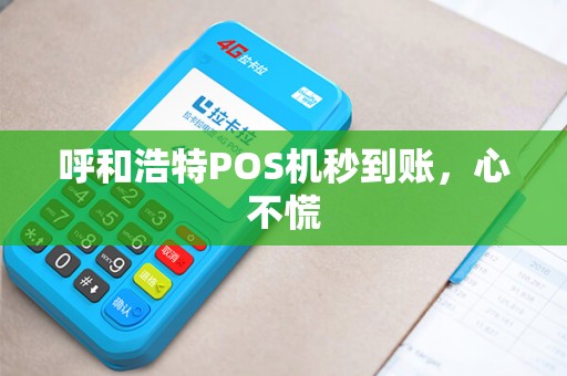 呼和浩特POS机秒到账，心不慌