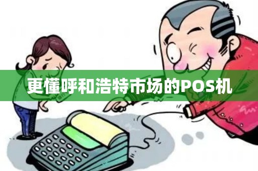 更懂呼和浩特市场的POS机